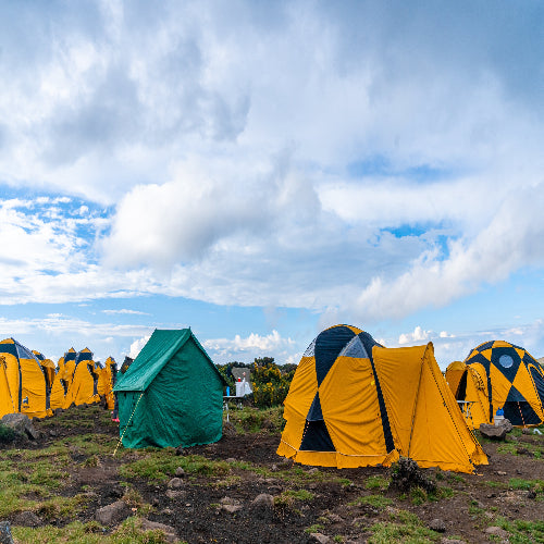 Essential Camping Gear for a Comfortable Outdoor Adventure